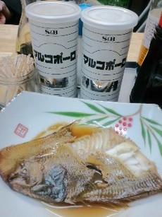 No.1517 マルコポーロ