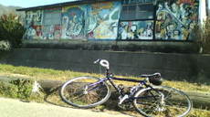 No.1566 生口島。