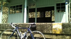 No.1574 ポッポー2。