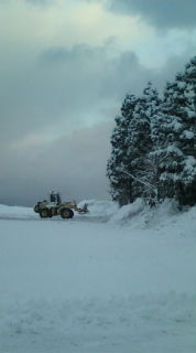 No.1541 シルバーワールド。