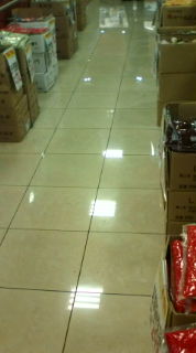 No.1558 ピッカちゅう。