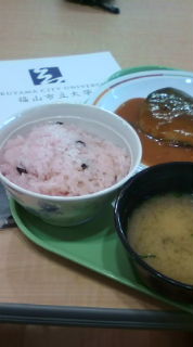 No.1582 大学物語1。